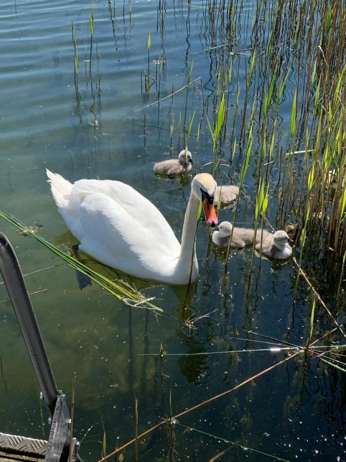 Sweet App Am See Ponitz am See Buitenkant foto