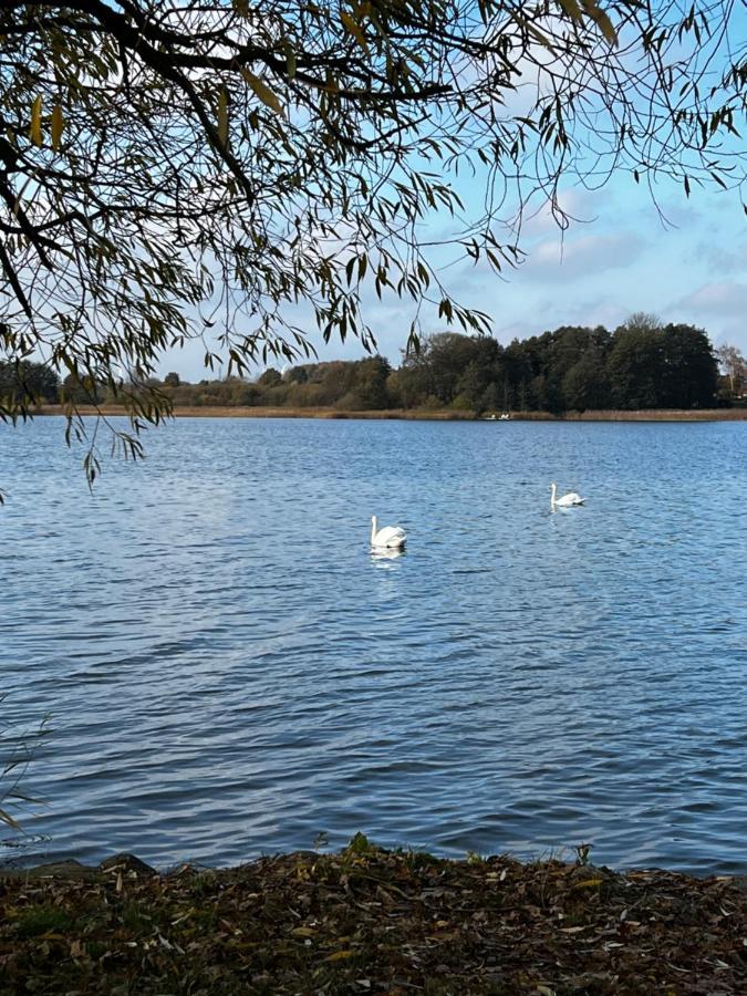 Sweet App Am See Ponitz am See Buitenkant foto